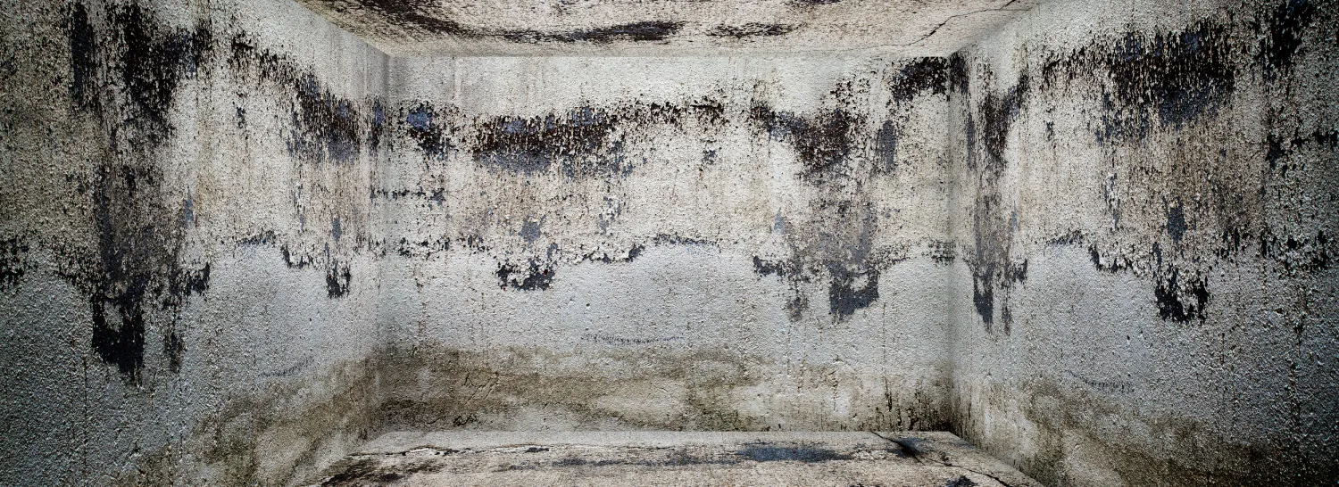 רטיבות במרתף