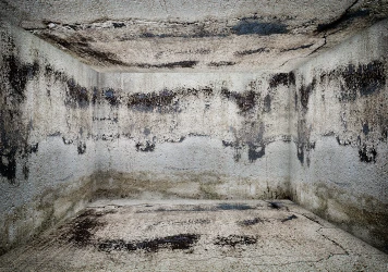 נזקי רטיבות במרתפים